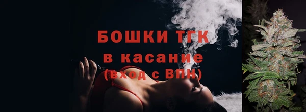 ГАЛЛЮЦИНОГЕННЫЕ ГРИБЫ Новодвинск
