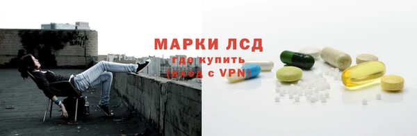 ГАЛЛЮЦИНОГЕННЫЕ ГРИБЫ Новодвинск