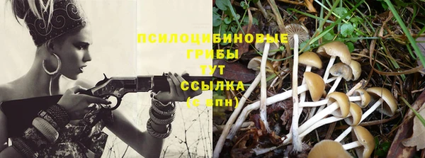 мдма Новокубанск
