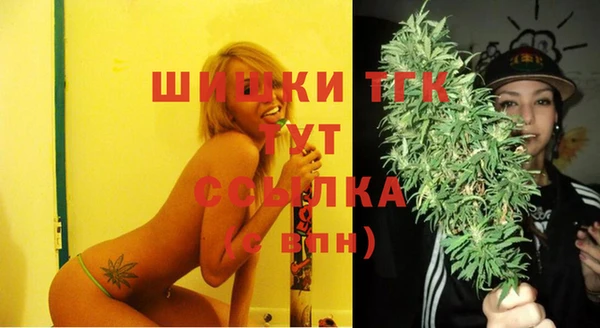 соль курить ск Новозыбков