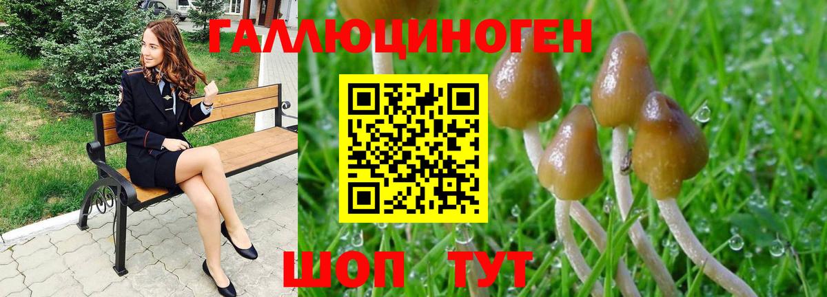 Галлюциногенные грибы прущие грибы  Астрахань 