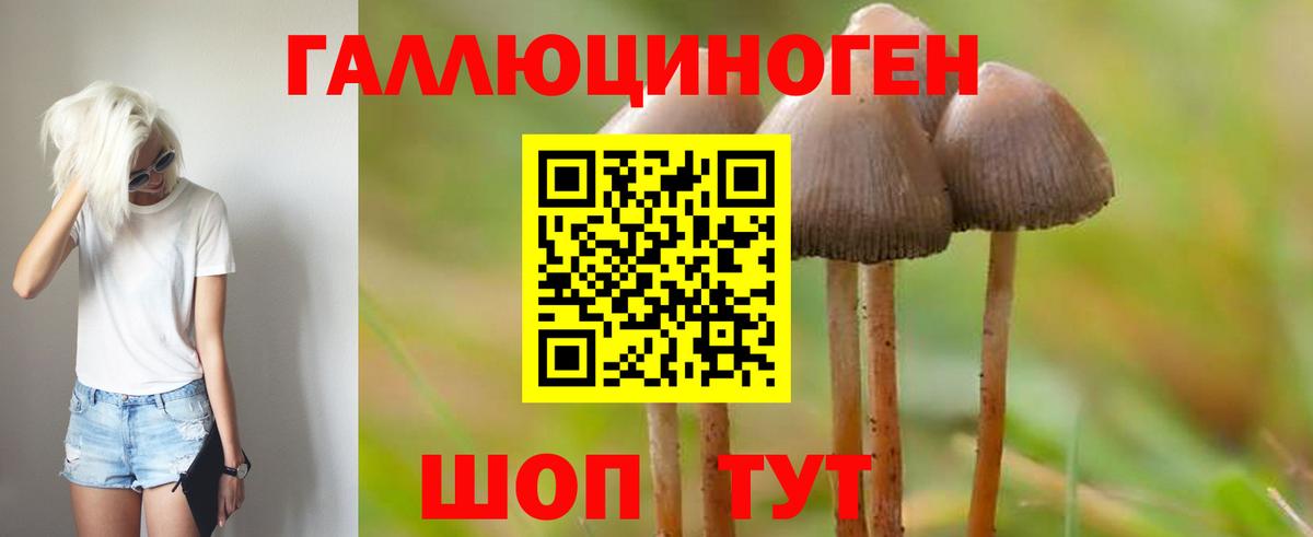 Псилоцибиновые грибы ЛСД  Вход с VPN  цена   Галлюциногенные грибы Psilocybe  Астрахань 